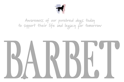 Barbet Awareness of our purebred dogs today to support their life and legacy for tomorrow