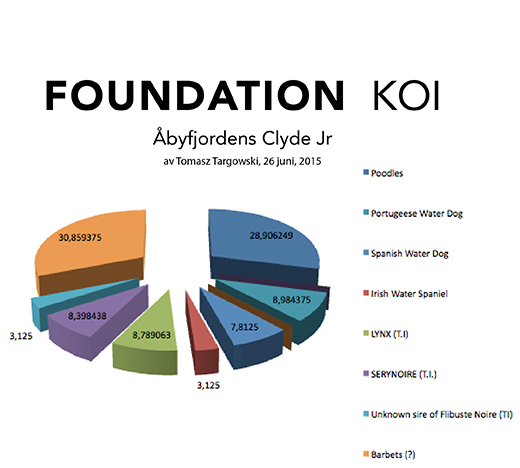 Foundation Barbet Koi presenterat i cirkeldiagram