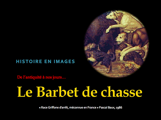 Historie en images Le Barbet de chasse compiled by Elaine Fichter