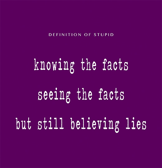 Definition of stupid - knowing the facts seeing the facts but still believing lies