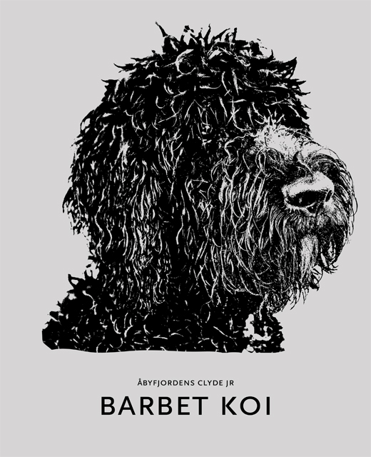 Junioren Barbet Koi på stiliserad svart vit bild