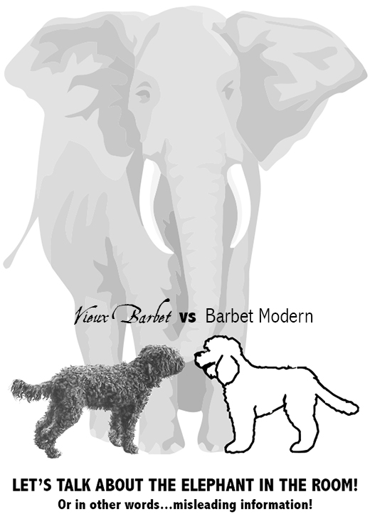 Vieux Barbet versus Barbet Moderne in front of the elephant in the room
