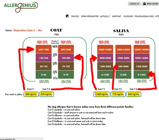 Provsvar från allergenius på Barbet Kois allergener i päls och saliv