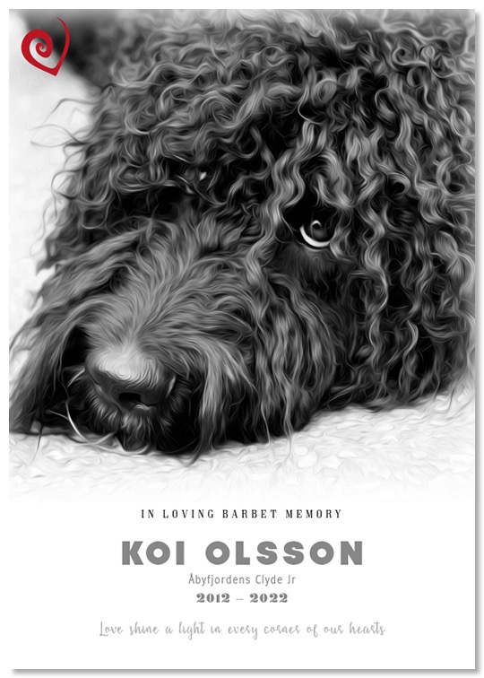 Älskade Koi Olsson med sina fantastiska ögon
